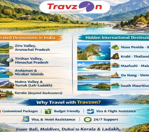Best tour and travel company in hisar